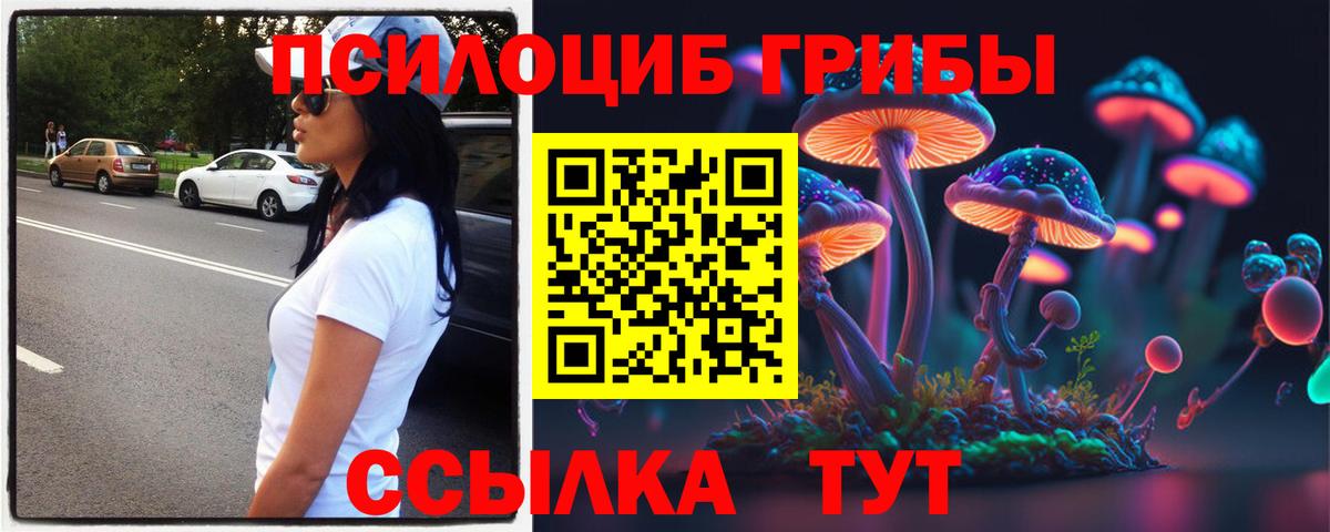 Галлюциногенные грибы Волгодонск